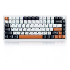 MOLGRIA G84 Compact Mechanical Keyboard, Cherry Profile Hot-Swappable RGB Backlit USB-C Bluetooth 2.4G Wireless Connected Gasket Keyboard for Office(White Black and Orange)