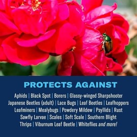 Bayer Advanced - BioAdvanced 701262 Todo-en-Uno Rose & Flower Care fertilizante, insecticida y fungicida, 64 onzas, Concentrado - Top Qua...