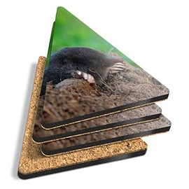 4 x Triangle Coasters - Black Mole Wildlife Animal Cork Backed MDF Glossy Tea Coffee Accessory #44321