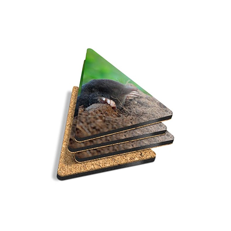4 x Triangle Coasters - Black Mole Wildlife Animal Cork