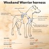 Hurtta Weekend Warrior ECO Dog Harness, Rose Hip, 39-47"