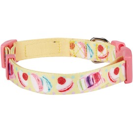 Blueberry Pet Essentials Sweet Obsession Macaroon Designer Adjustable Dog Collar in Lemon Chiffon, Medium, Neck 14.5"-20"