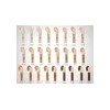Tonos De Corrector Beauty Creations Flawless Alta Cobertura Tono Verde