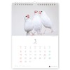 Today's Bunko Calendar A4 Wall-hanging Type 2026 Starting in January
