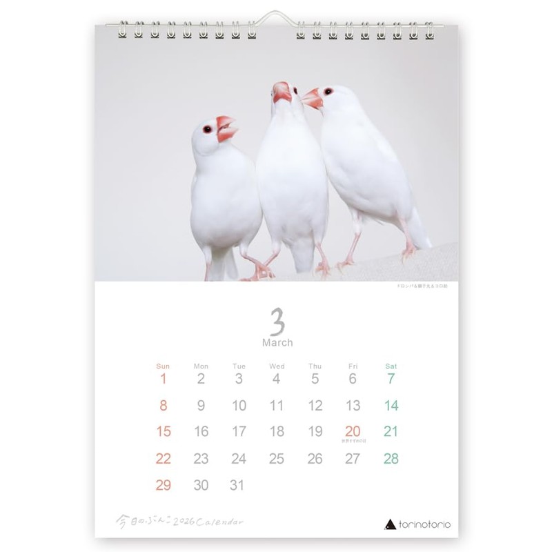 Today's Bunko Calendar A4 Wall-hanging Type 2026 Starting in January