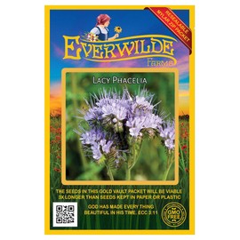 Everwilde Farms - 1000 Lacy Phacelia Native Wildflower Seeds - Gold Vault Jumbo Seed Packet