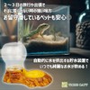 Reptile Water Container Pet Water Supply Automatic Water Supply Turtle