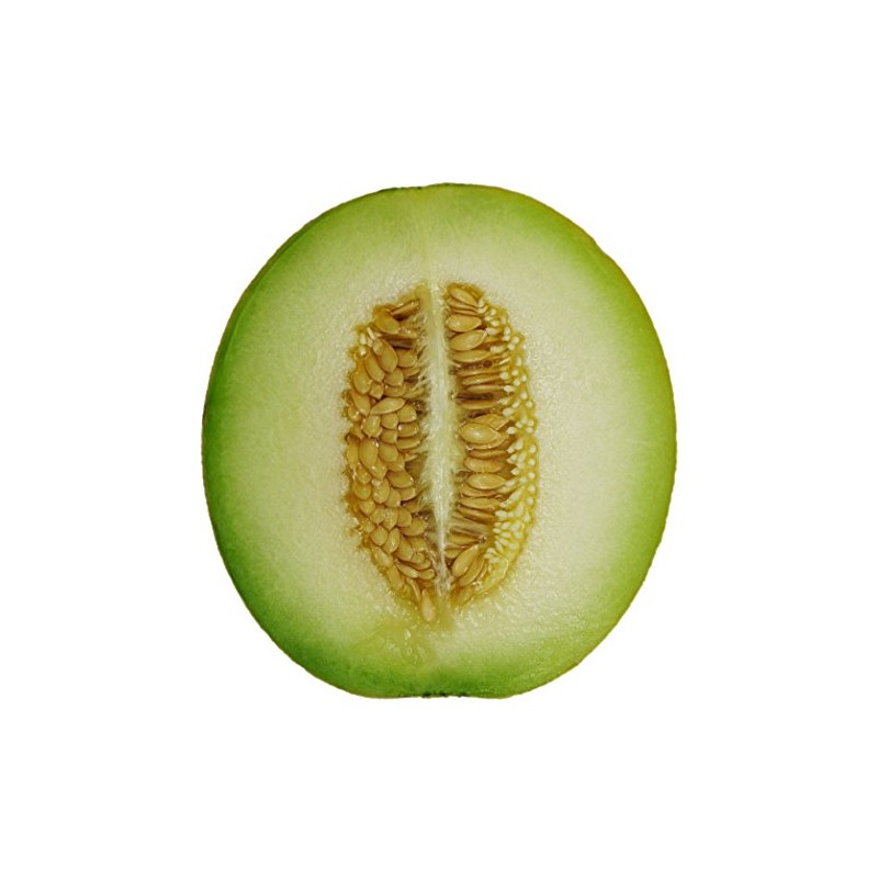Cantaloupe Melon Honey Dew Green Flesh Great Heirloom Vegetable by