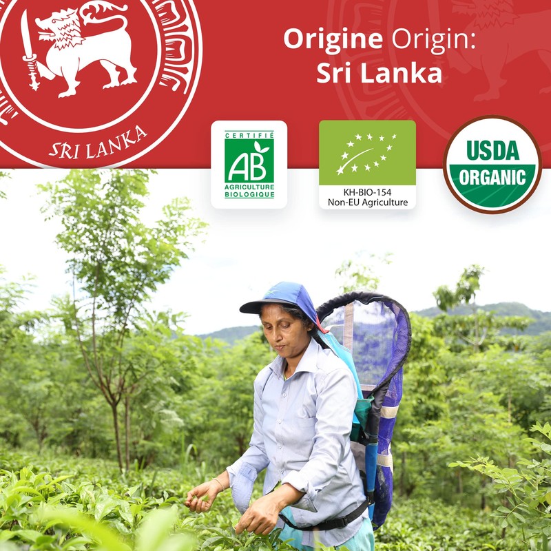 Khla - Organic Black Chai Tea - 80 Tea Bags