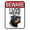 SHAWPRINT BEWARE I LIVE HERE METAL GATE SIGN ROTTWEILER 200MM