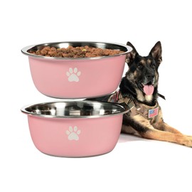 Podinor Large Dog Water Bowl 2 Pack, 170oz Stainless Steel Extra Large Dog Food Bowl for Big Giant Dogs