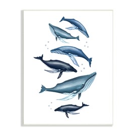 Stupell Industries Varied Blue Whales Marine Life Bubbles Fins, Design by Elizabeth Tyndall