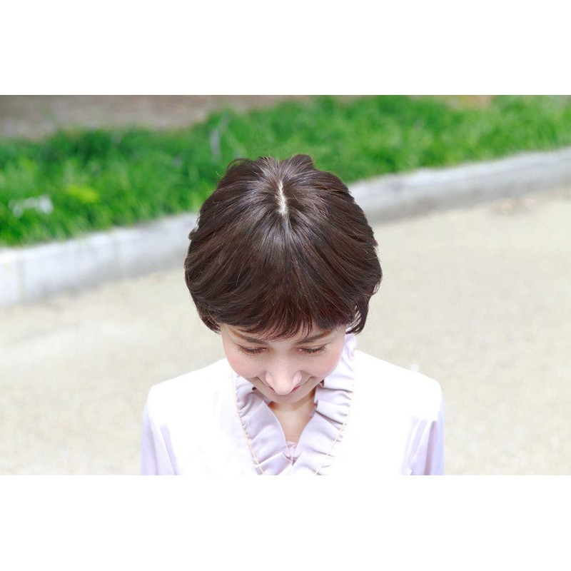 Priscilla ST-005 Gray Hair Partition Type 2N Natural Black