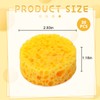 30 Pcs Tack Cleaning Sponges Horse Saddle Sponge Tack Sponges