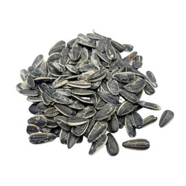 Original Sunflower Seeds | Full Salt | Roasted Salted Sunflower Seeds in Shell | Healthy Snack Bag | Nebraska Roasted | 12 oz Bag | 6 Pack