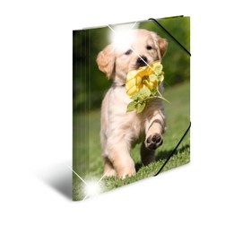 HERMA Elastic Folder Animals with Dogs Motif, A4, Glossy Plastic, with Inner Print, 1 Span Folder