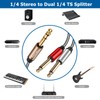 TEKERA 1/4 Inch TRS Stereo to Dual 1/4 Inch TS