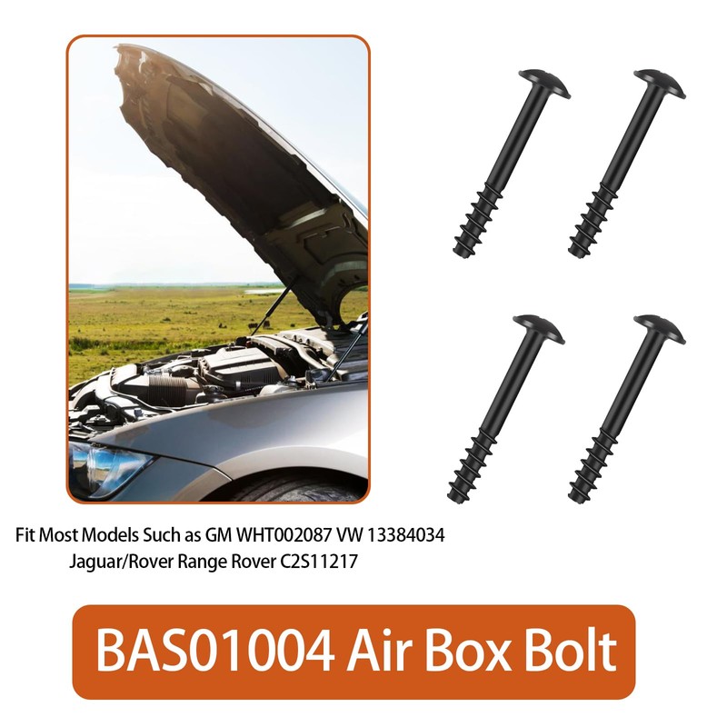 BAS01004 Air filter Box Screw For VW 13384034 GM WHT002087