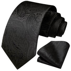 HISDERN Men's Paisley Tie Formal Casual Floral Ties Pocket Square Wedding Party Funeral Tie Sets for Men, black