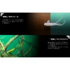 JACKALL Wham Flare 48 Shrimp