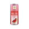 ALO Slim Can Juice | Watermelon Juice | Not from