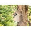 Rayher 70053505 Nesting Box Kit Wood FSC Certified 19 x