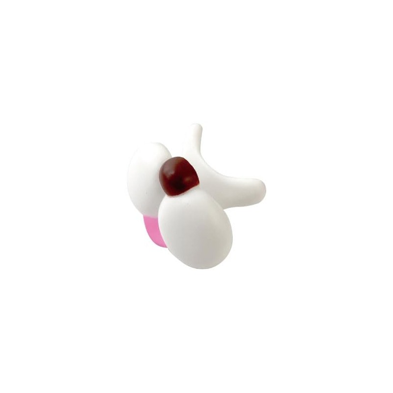 Beauty World WAE881 Beauty World Wanderlust Exercise