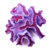 Besimple Aquarium Coral Ornaments Decor Fish Tank Plants Decoration for