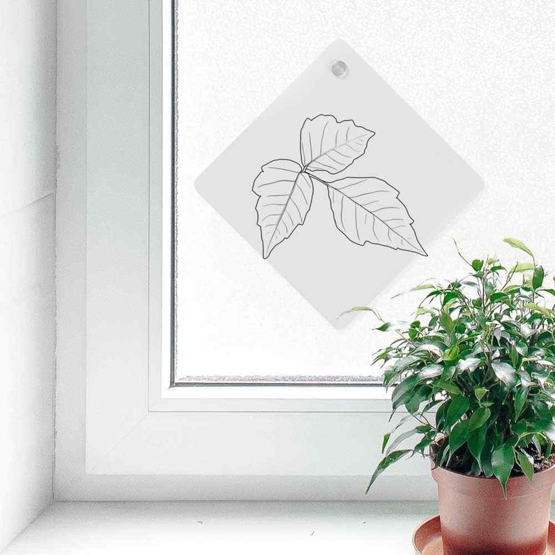 'Poison Ivy' Suction Cup Car Window Sign (CG00023609)