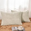PHF Truly Velvet Pillowcases Standard Size, No Insert, 2 Pack