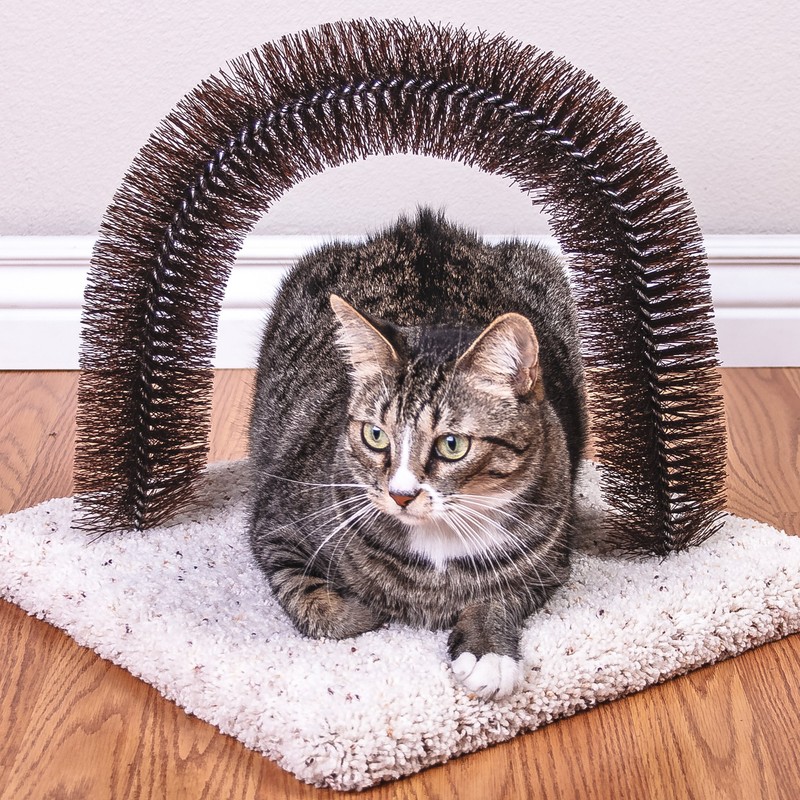 Ware Manufacturing Brush-N-Scratch Groomer for Cats