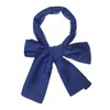 Allegra K Neckerchief Ribbon Scarf, Silk, Rectangle, Thin Belt, Hair