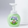 Iggakkeut-hae 아이깨끗해 거품형 청포도 용기 250ml I Clean It Foam