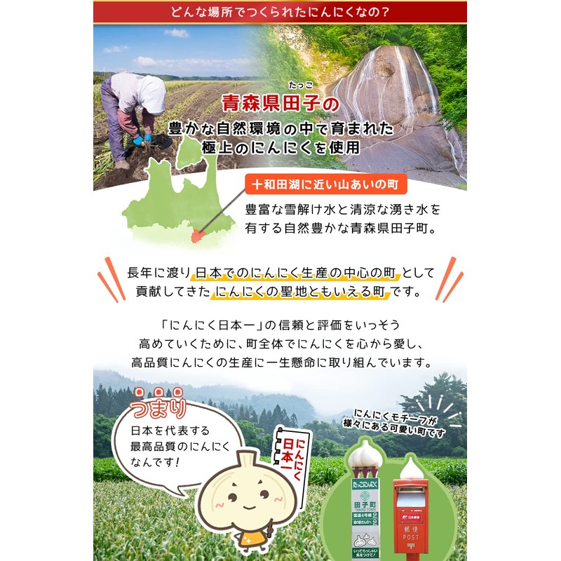 ガーリックパウダー 青森県 田子産 ブランドにんにく 乾燥 粉末 50g 無添加 国産 田子ガーリックセンター