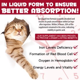 Liquid Iron Supplements for Cats and Kittens - with Folate and B12 – Supplements Anemia, Promotes Blood Health, Oxygen Supply and Blood Cell Formation – Increase Low Energy Levels – Lethargy - 2 oz