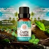 GuruNanda Breathe Essential Oil Set (Pack of 3 x 0.34