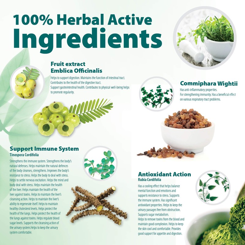 Himalaya Herbals Septilin Herbal Food Supplement, Natural Support for Immune