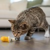Catstages Petstages Dental Banana Catnip Cat Chew Toy
