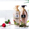 [DAENG GI MEO RI] Dlaesoo Pure Shampoo 400 ml/Hypoallergenic Anti