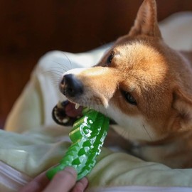 Crocodile Slow Feeder Toy – Durable, freezable slow feeder for aggressive chewers. Fun crocodile shape, promotes slow eating, reduces anxiety for pet. - Size: Small, Color: Green