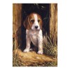 Royal & Langnickel 11 x 15 inch Beagle Puppy Pre-Printed