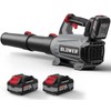 Leaf Blower Cordless - 630CFM/160MPH, 21V Powerful Electric Cordless Leaf