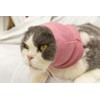 DDFS Cat Ear Cover Calm Cat Ear Wrap Neck Hematoma