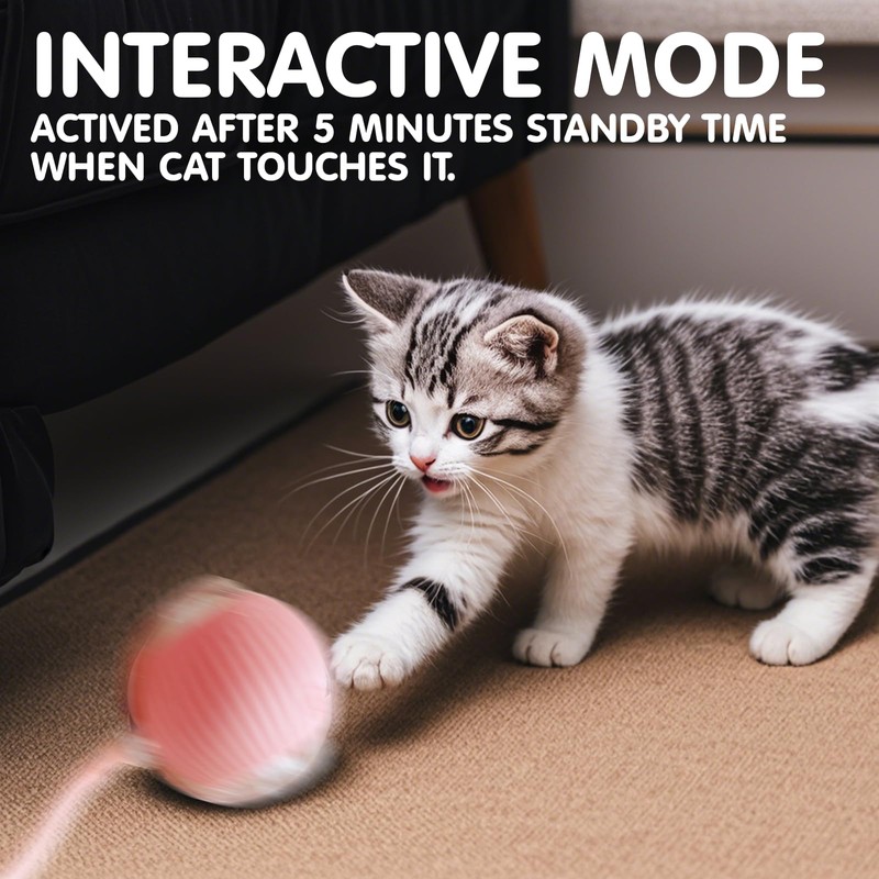 Rocfish Interactive Cat Toy for Indoor, Smart Automatic Cat Chase