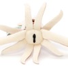 Colorata Plush Doll Mascot Dai Squid (Realistic, Deep Sea Creature/Chain