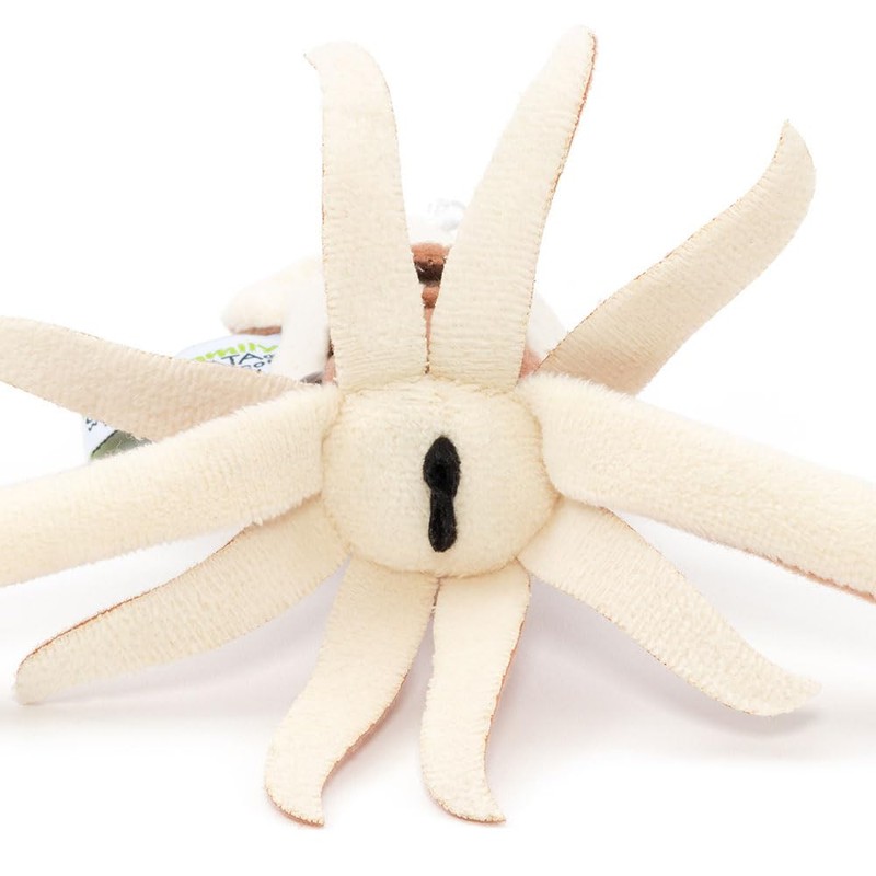 Colorata Plush Doll Mascot Dai Squid (Realistic, Deep Sea Creature/Chain