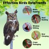 Bird Scarer, 2 Pieces Fake Owl Hanging Owl to Keep