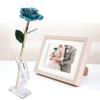 Gold Dipped Rose 24k Creative Girlfriends Wife Valentine's Day Gift