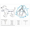 Blueberry Pet Reflective Dog Harness and Seatbelt Set | Adjustable