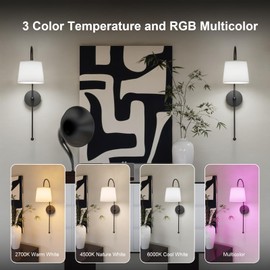 Wall Decor Sconces Set of Two Battery Operated, Rechargeable Wireless Wall Lights for Living Room Bedroom, 2 Battery Powered Wall Lamp with Magnetic Dimmable RGB Bulbs & Remote - Black